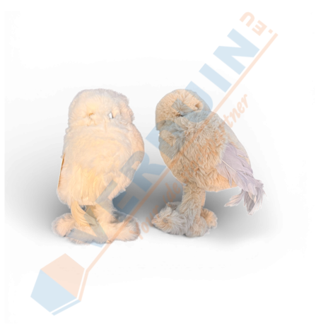 Standing owl
